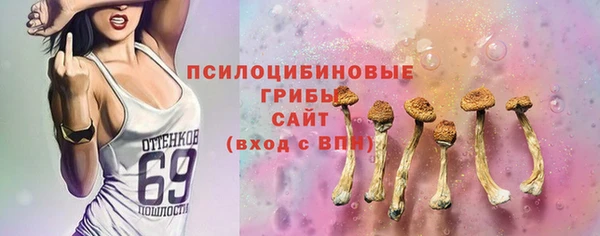 Альфа ПВП Мегион