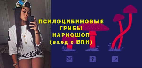 Альфа ПВП Мегион
