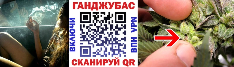 даркнет сайт  Тогучин  Бошки Шишки Amnesia 
